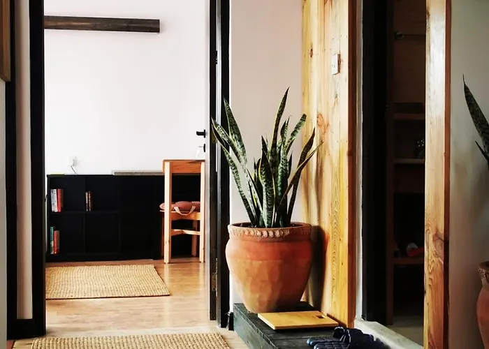 Appartement Shalu's