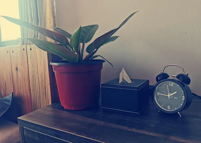Appartement Shalu's